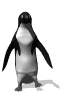 penguindanceWHT.gif (19371 bytes)